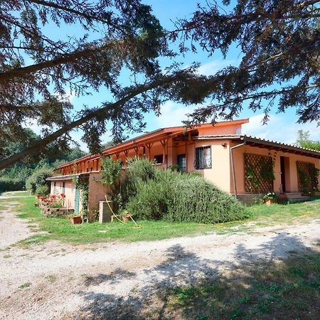 Albergue La Dimora Degli Etruschi Civitella Cesi Exterior foto