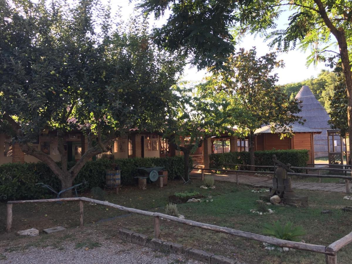 Albergue La Dimora Degli Etruschi Civitella Cesi Exterior foto