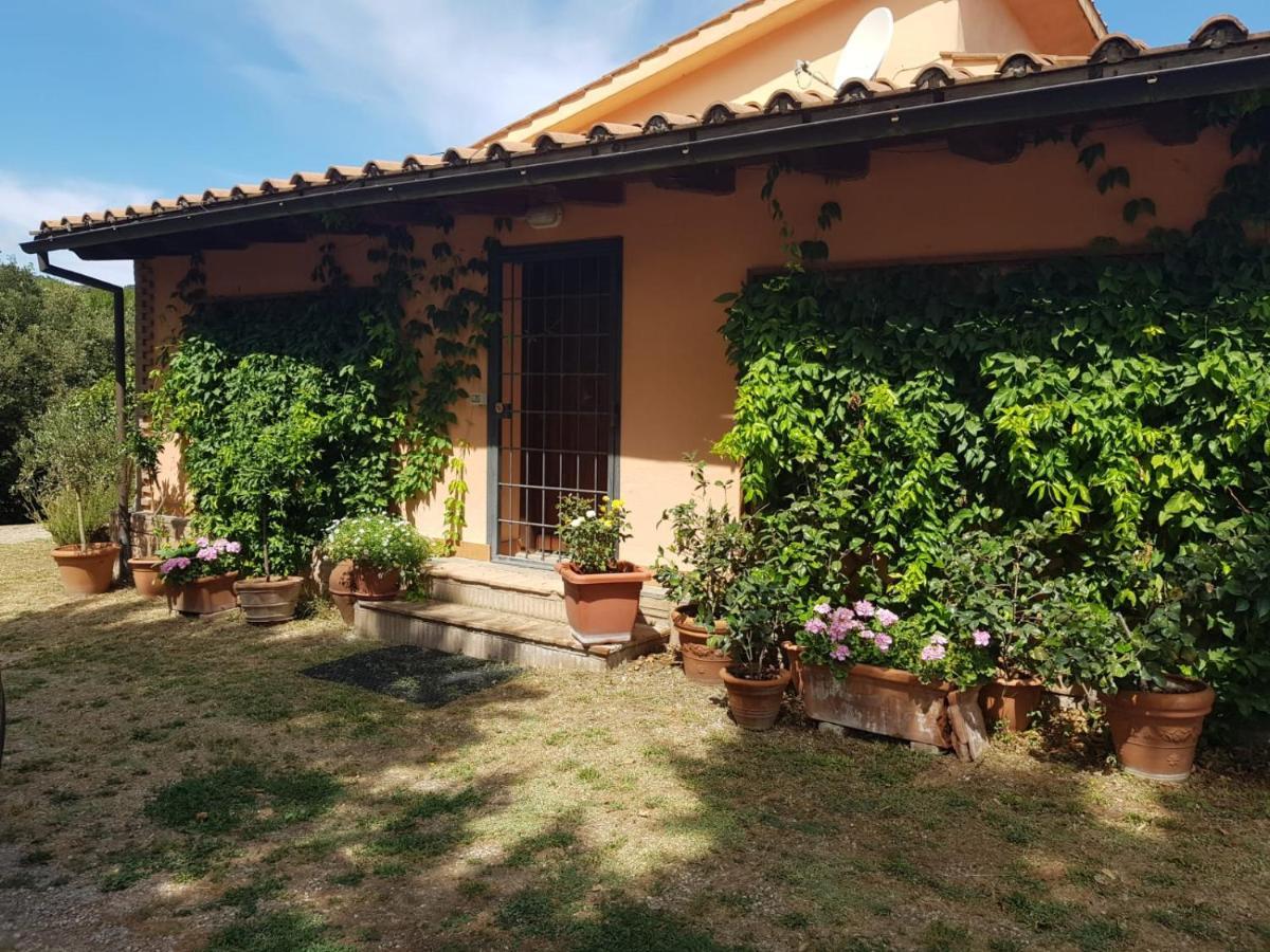 Albergue La Dimora Degli Etruschi Civitella Cesi Exterior foto