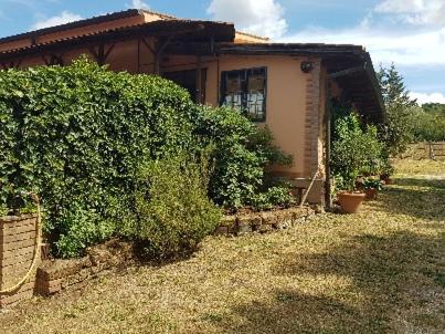 Albergue La Dimora Degli Etruschi Civitella Cesi Exterior foto